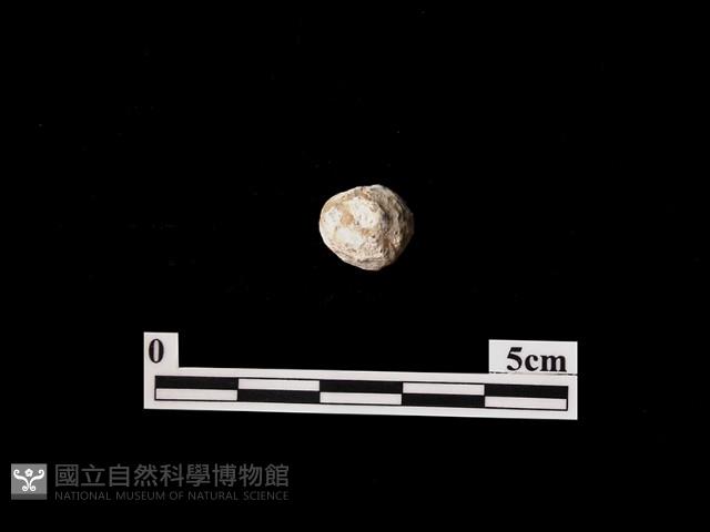 帶加工痕石材藏品圖，第2張