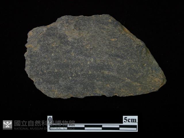 矛鏃形器藏品圖，第2張