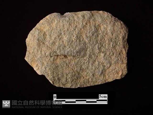 石片器藏品圖，第2張