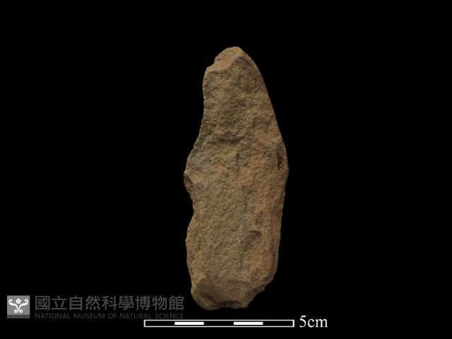 Accession Number:TPCN1-798 Collection Image, Figure 1, Total 2 Figures