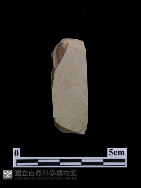 錛鑿形器藏品圖，第1張