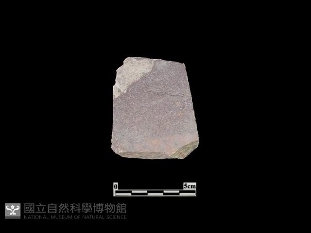 陶片藏品圖，第1張