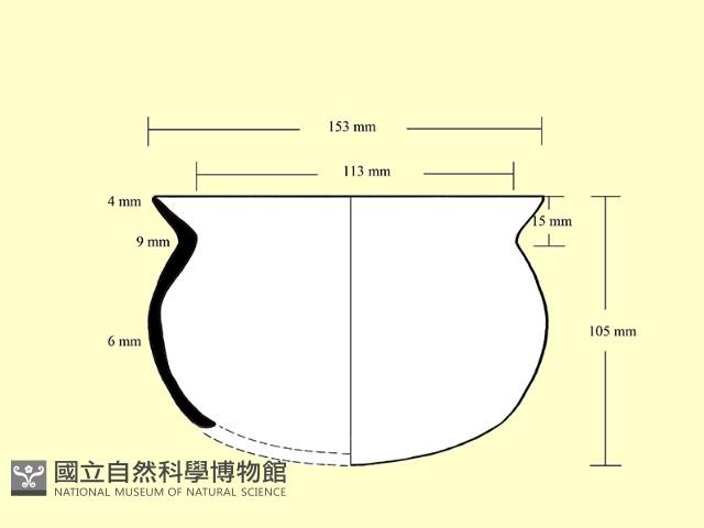 陶罐藏品圖，第4張