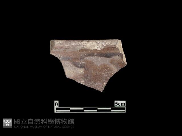 陶缸藏品圖，第2張