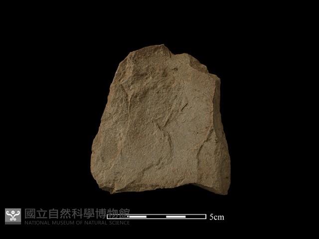斧鋤形器藏品圖，第1張