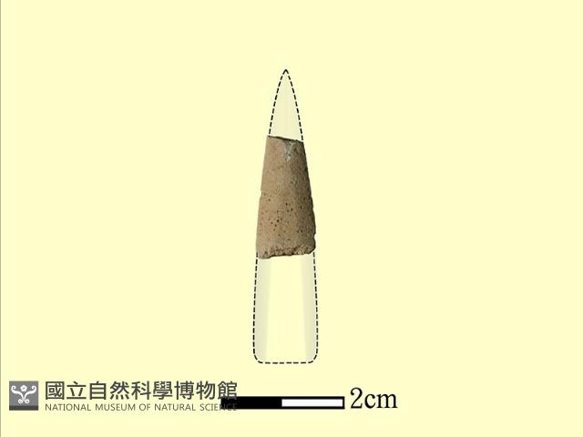 矛鏃形器藏品圖，第1張
