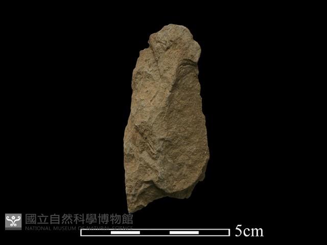 石片器藏品圖，第1張