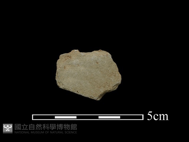 石材藏品圖，第1張