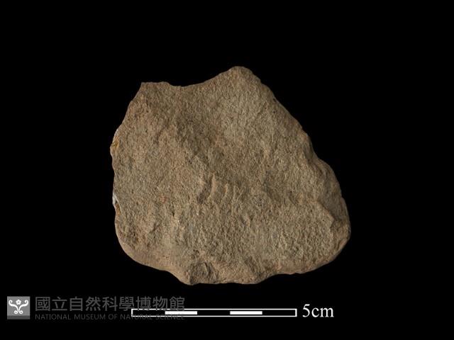 打製石器藏品圖，第2張