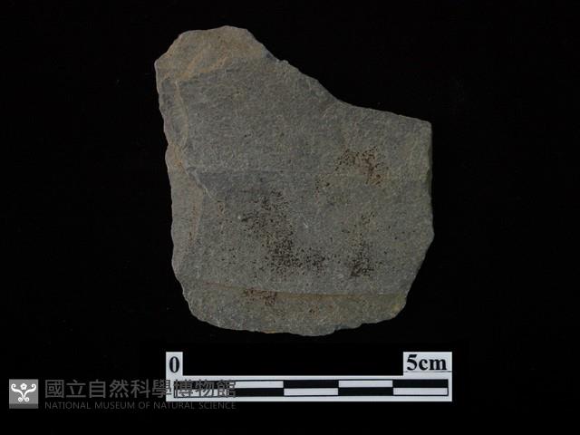 帶加工痕石材藏品圖，第3張