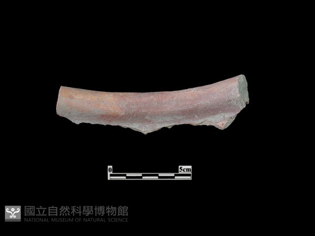 陶缸藏品圖，第2張