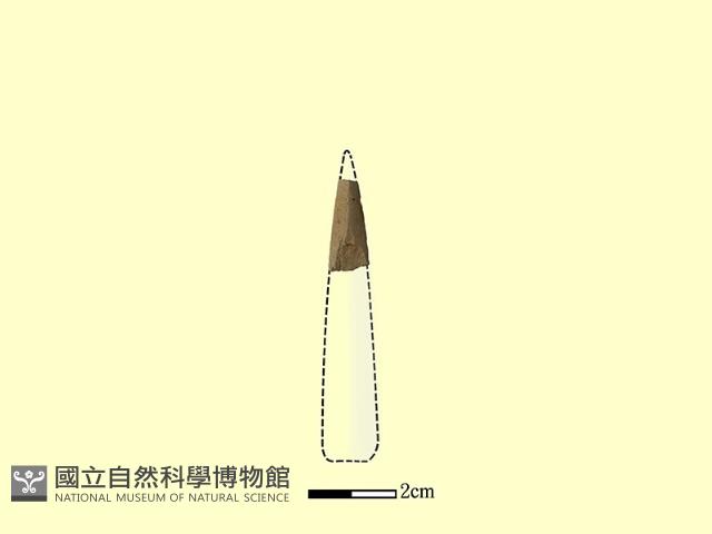 矛鏃形器藏品圖，第2張