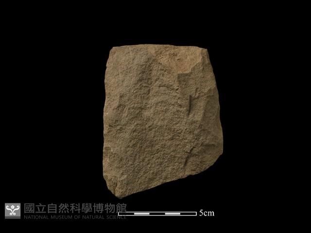 斧鋤形器藏品圖，第2張
