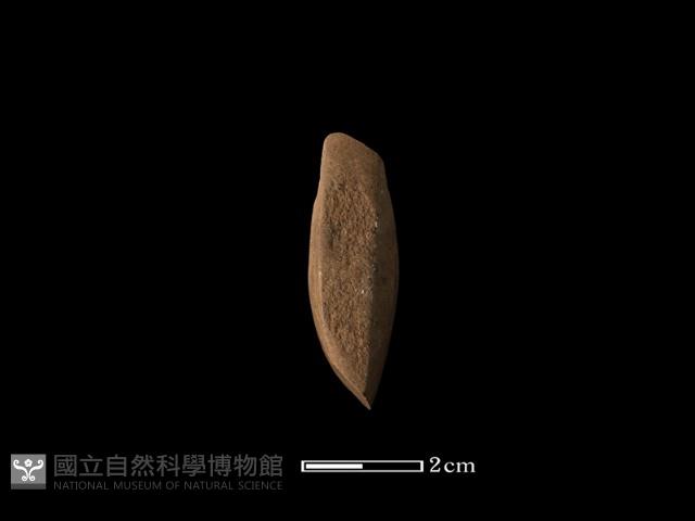 錛鑿形器藏品圖，第1張