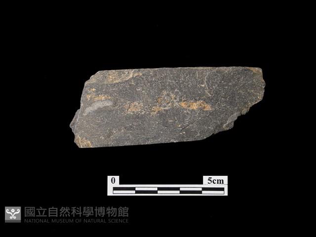 帶加工痕石材藏品圖，第2張