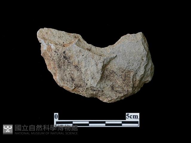 石片器藏品圖，第2張