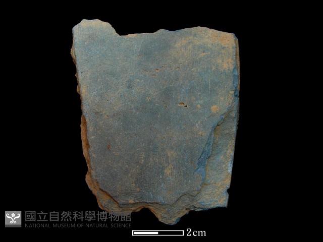 矛鏃形器藏品圖，第2張