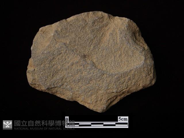 打製石器藏品圖，第1張