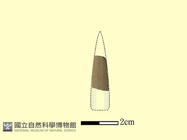 矛鏃形器藏品圖，第1張