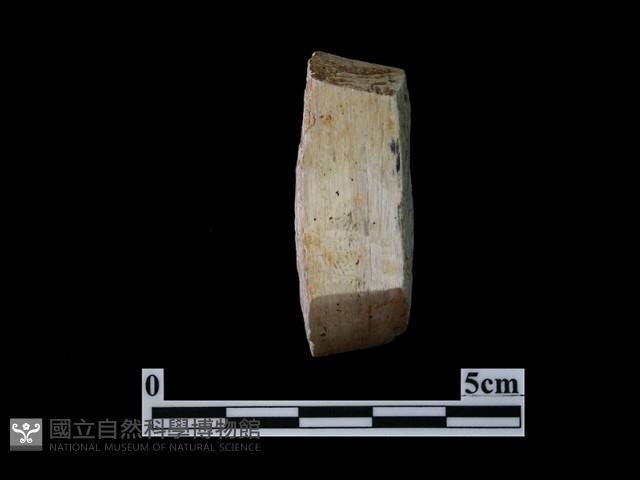 錛鑿形器藏品圖，第2張