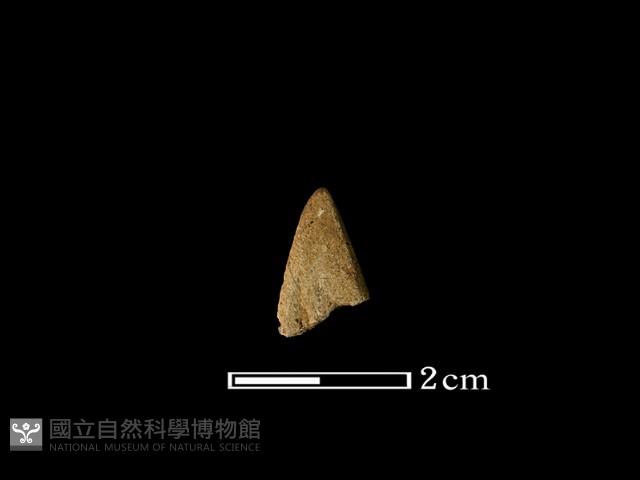 矛鏃形器藏品圖，第2張