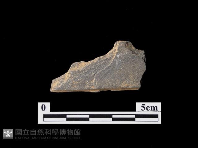 帶加工痕石材藏品圖，第1張