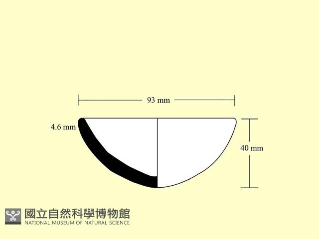 陶杯藏品圖，第3張
