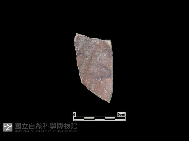 陶片藏品圖，第1張