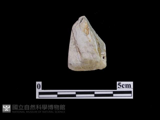 錛鑿形器藏品圖，第2張