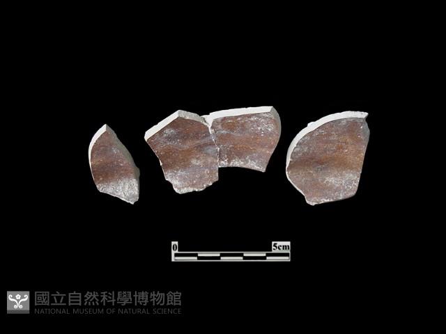 陶片藏品圖，第2張