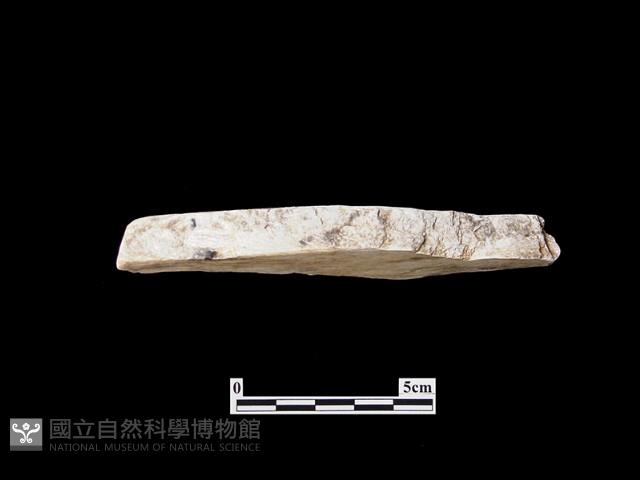 帶加工痕石材藏品圖，第2張