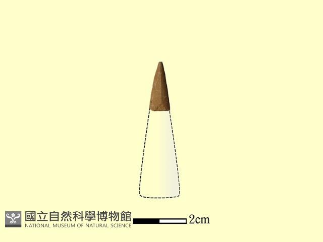 矛鏃形器藏品圖，第1張