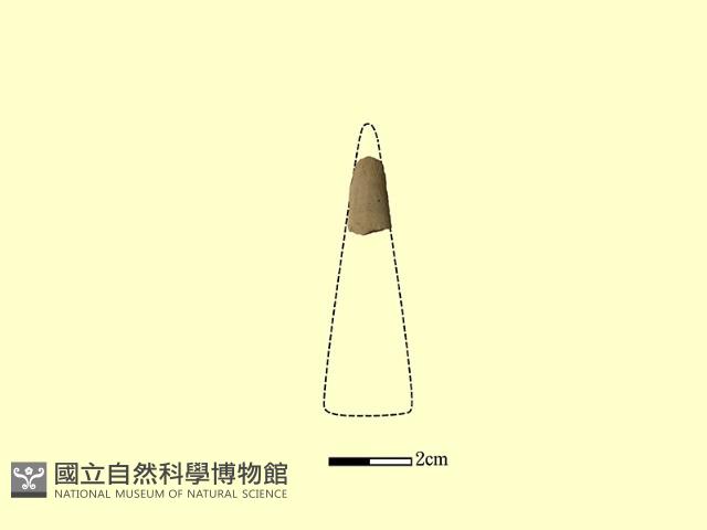 矛鏃形器藏品圖，第2張