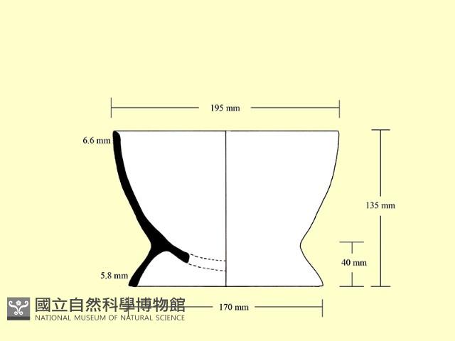 豆形器藏品圖，第1張