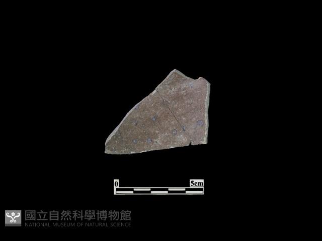 陶片藏品圖，第1張