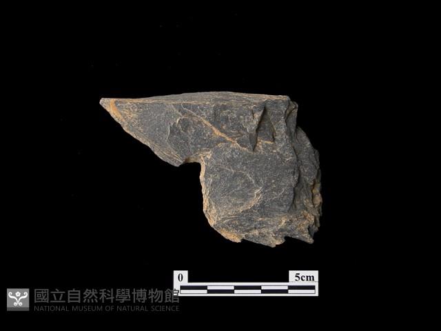 帶加工痕石材藏品圖，第2張