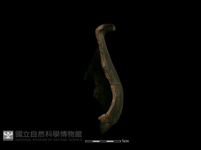 陶罐藏品圖，第1張