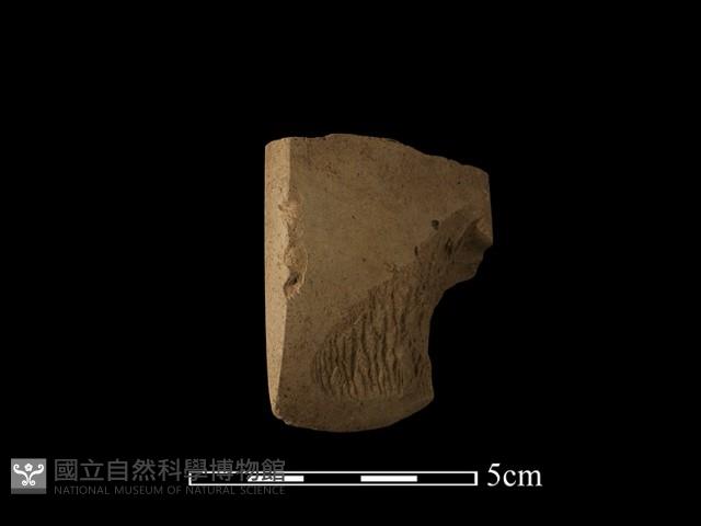 錛鑿形器藏品圖，第3張
