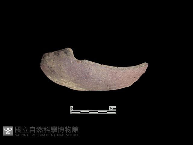 陶缽藏品圖，第2張