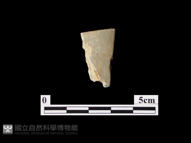 磨製石器藏品圖，第2張