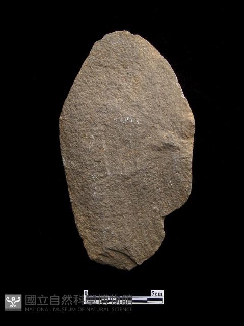 石片器藏品圖，第1張