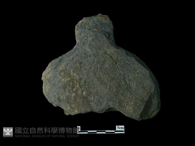 帶柄圓板形石器藏品圖，第1張