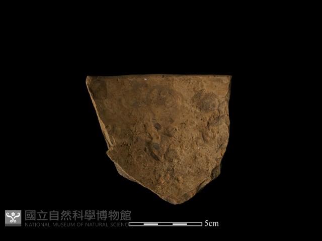 陶缽藏品圖，第3張