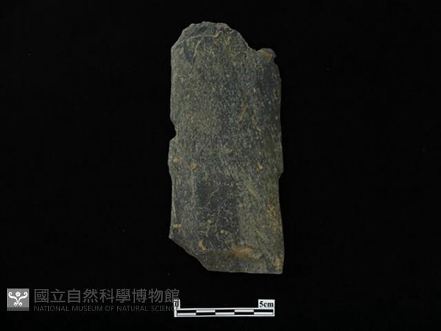 戈形器藏品圖，第1張