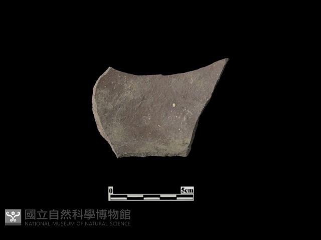 陶片藏品圖，第2張