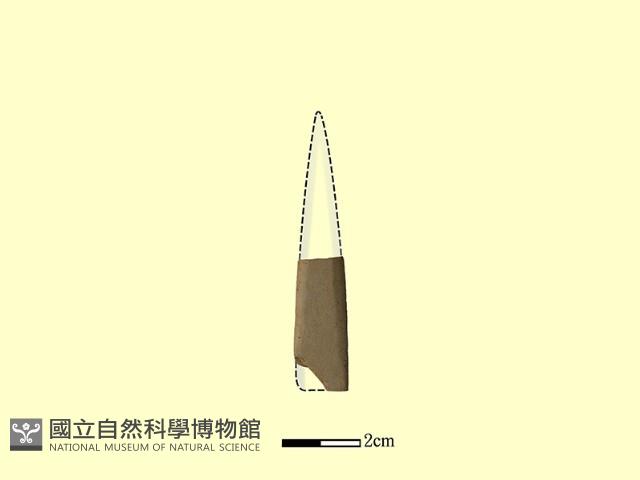矛鏃形器藏品圖，第2張