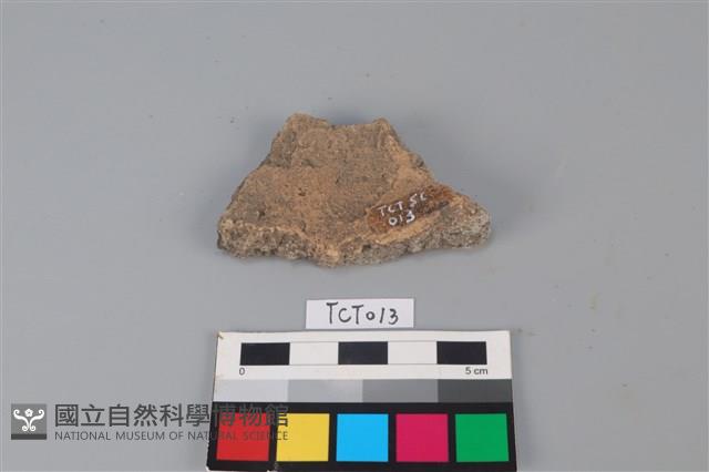 陶片藏品圖，第2張