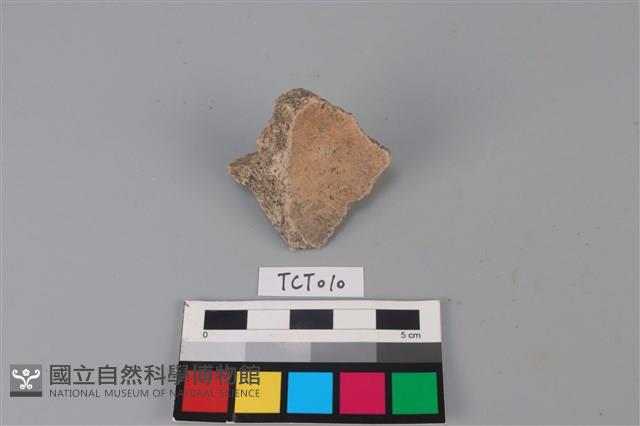 陶片藏品圖，第2張