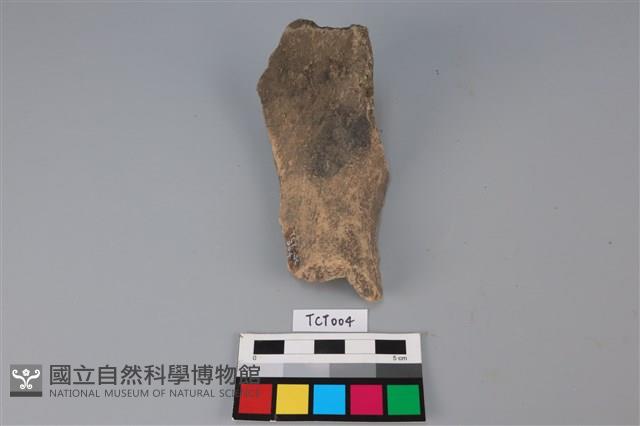 陶片藏品圖，第2張
