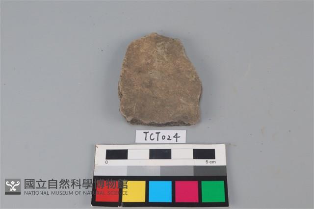 陶片藏品圖，第2張